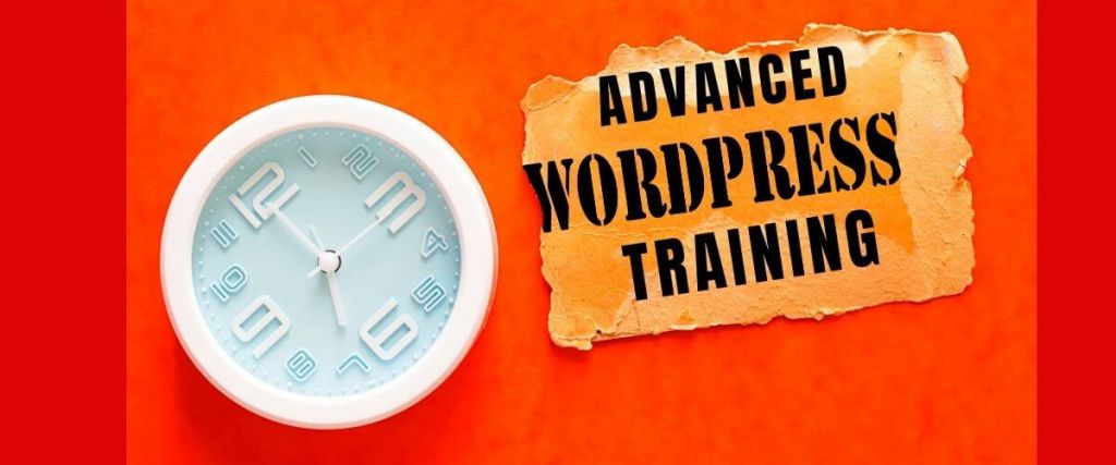 advanced wordpress training