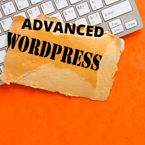 wordpress agency in pune WordPress Agency in Pune 31 2