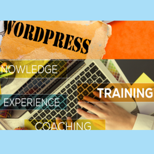 wordpress agency in pune - 32 - WordPress Agency in Pune