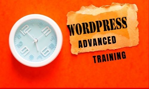 Advanced WordPress Training